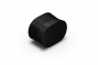 Sonos ERA 300 in Black