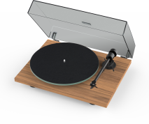 Pro-Ject T1 EVO Turntable in Walnut