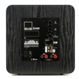 SVS SB1000 Cabinet Subwoofer back